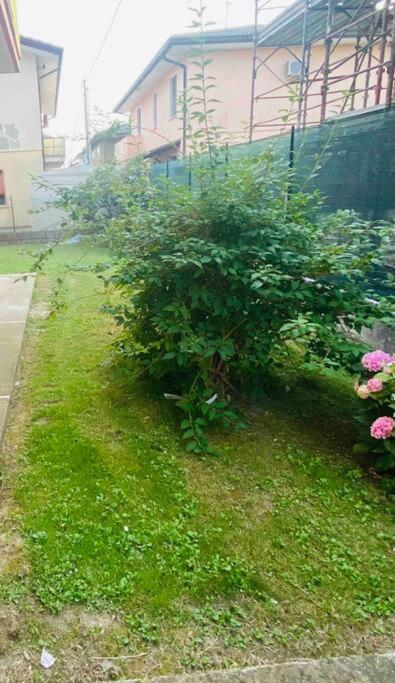 Вілла “Casa Alex” A Pochi Km Dal Mare Scardovari Екстер'єр фото